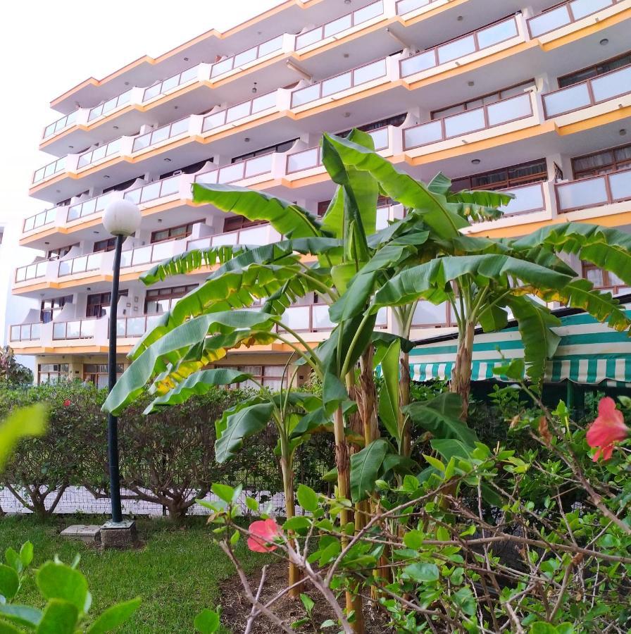 Apartamentos Australia Playa del Inglés Exteriér fotografie